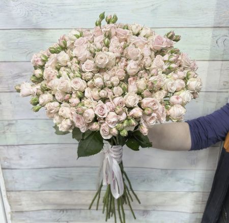 21 кустовая роза Полина 70+ см