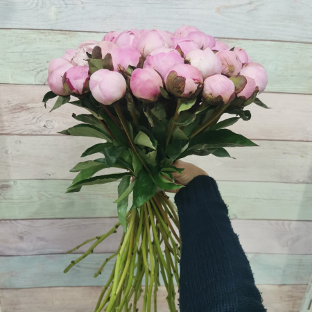 35 Пионов