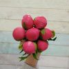 7 Пионов розовых Корал Шарм