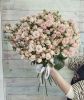 11 кустовых роз Полина 70+ см