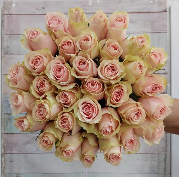 35 роза Эквадор Фрутетто