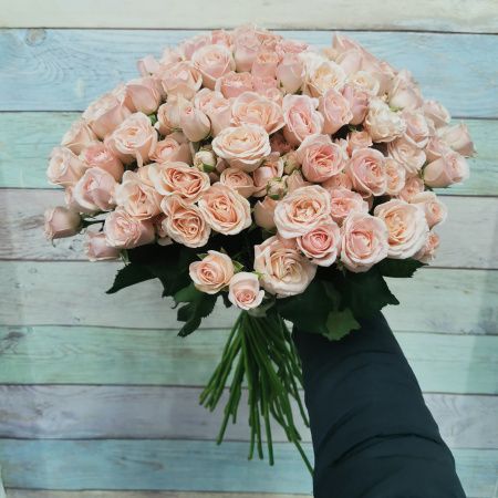 51 кустовая роза Полина