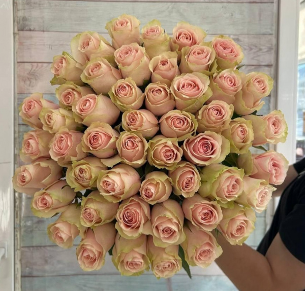 51 роза Эквадор Фрутетто