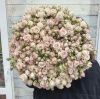 35 кустовая роза Полина 70+ см