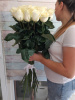 35 роз Эквадор Мондиаль 90 см