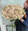 51 кустовая роза Полина 70+ см