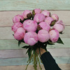 15 Пионов