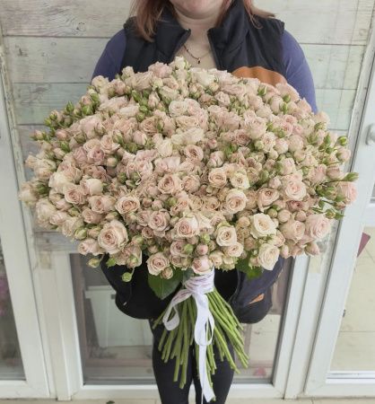 51 кустовая роза Полина 70+ см