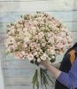 35 кустовая роза Полина 70+ см