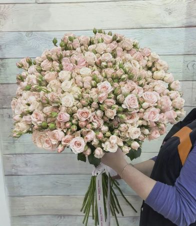35 кустовая роза Полина 70+ см