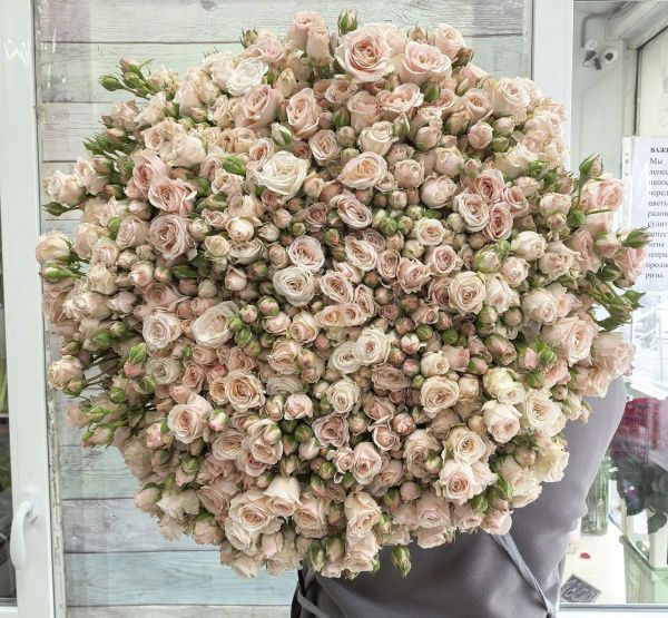 51 кустовая роза Полина 70+ см