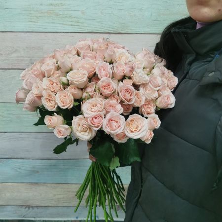 51 кустовая роза Полина
