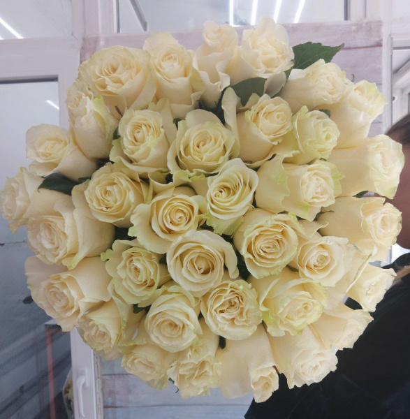 35 роз Эквадор Мондиаль 90 см